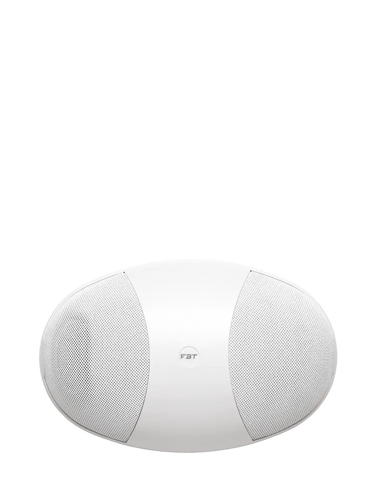 fbt-canto-wsp-406-tb-en-enceinte-murale-100v image 1