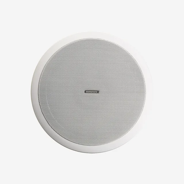 audiophony-chp606-plafonnier-16-cm-voix image 1