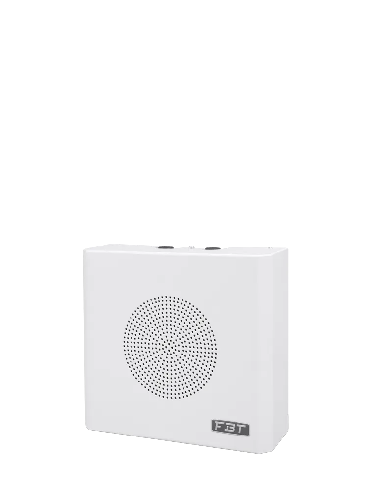 fbt-keiron-wms-406t-en-enceinte-murale-100v-blanche image 1